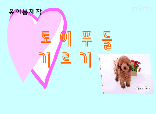 토이푸들 키우기 게임 화면 1