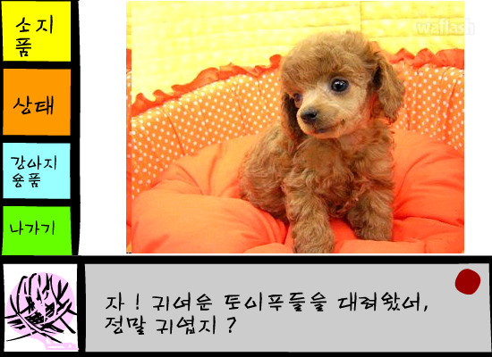 토이푸들 키우기 게임 화면 2