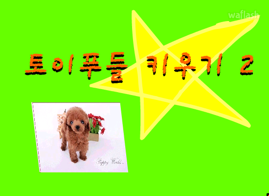 토이푸들 키우기 2 게임 화면 1