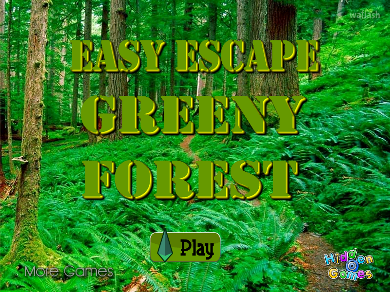 이지 이스케이프 그린 포레스트 (HiddenOGames Easy Escape Green Forest) 게임 화면 1