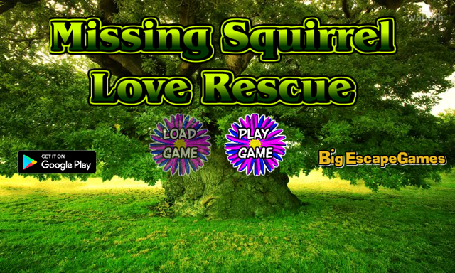 BIG 실종된 다람쥐의 연인 구출 (BIG Missing Squirrel Love Rescue) 게임 화면 1