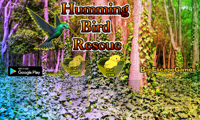 BIG 허밍 버드 레스큐 (BIG Humming Bird Rescue) 게임 화면 1