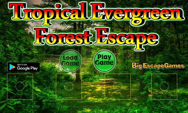 BIG 트로피컬 에버그린 포레스트 이스케이프 (BIG Tropical Evergreen Forest Escape) 게임 화면 1