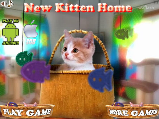 숨은그림찾기 - 뉴 키튼 홈 (New Kitten Home) 게임 화면 1