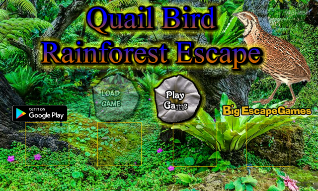 BIG 메추라기 새 열대우림 탈출 (BIG Quail Bird Rainforest Escape) 게임 화면 1