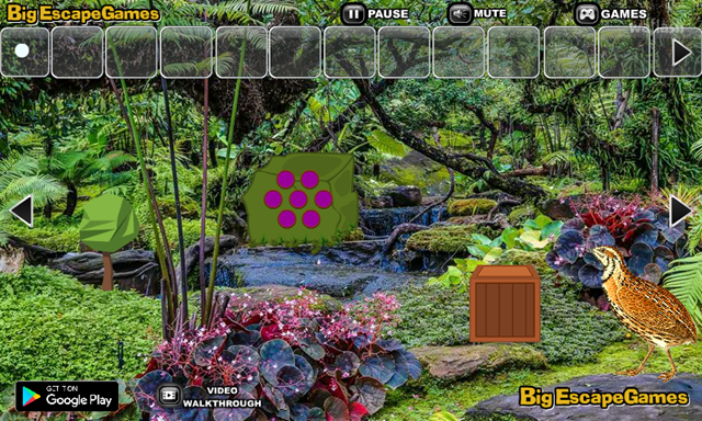 BIG 메추라기 새 열대우림 탈출 (BIG Quail Bird Rainforest Escape) 게임 화면 2
