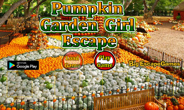 BIG 펌킨 가든 걸 이스케이프 (BIG Pumpkin Garden Girl Escape) 게임 화면 1