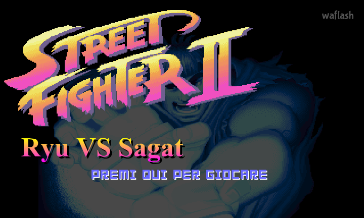 스트리트 파이터 2 - 류 vs 사가트 (Street Fighter 2 - Ryu vs Sagat) 게임 화면 2