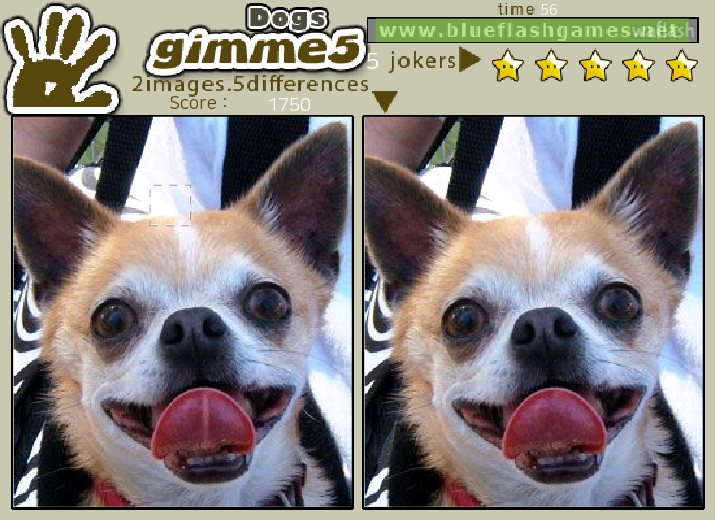 틀린그림찾기 - Gimmes5 Dogs 게임 화면 2