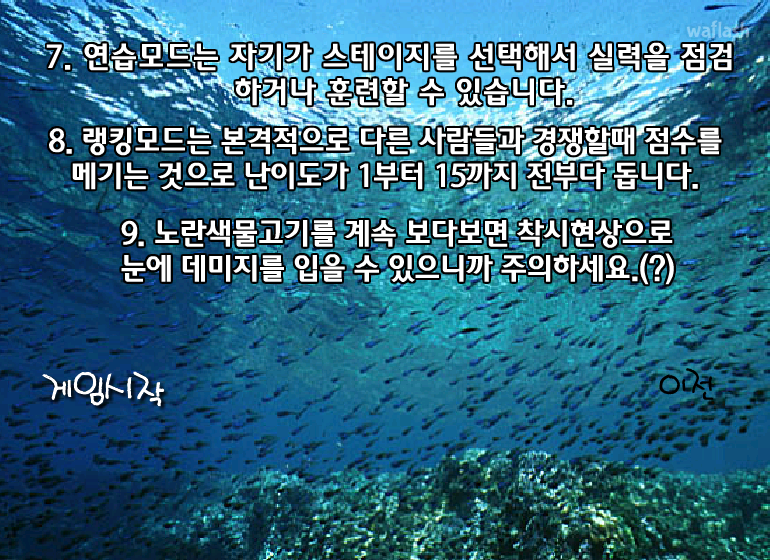 물고기세기 게임 게임 화면 3