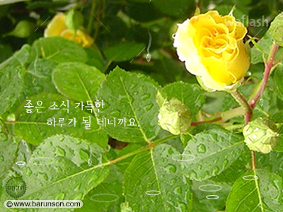 레인쏭 게임 화면 1