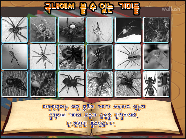 거미줄을 펼쳐라 게임 화면 4