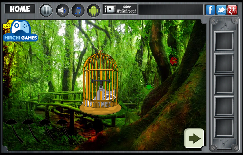라쿤 포레스트 (Mirchi Escape - Raccoon Forest) 게임 화면 2