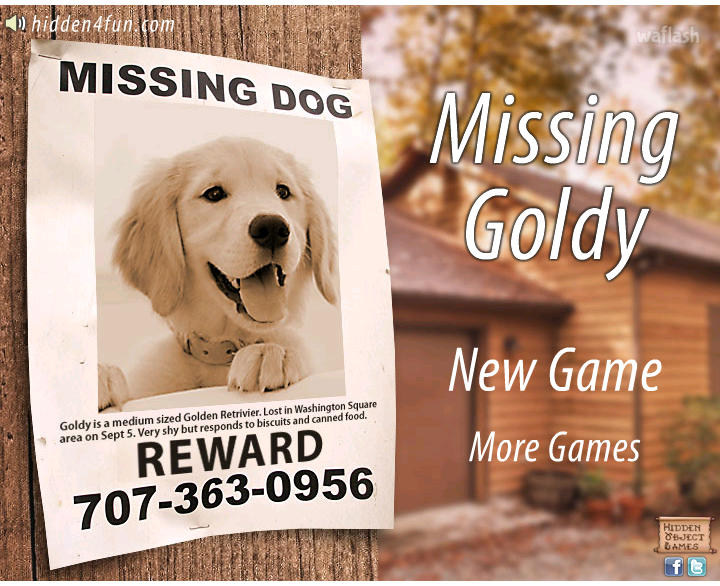 Hidden4fun 숨은그림찾기 - Missing Goldy 게임 화면 1