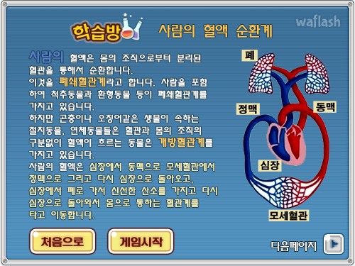 LG사이언스랜드 - 80일간의 혈관일주 게임 화면 5