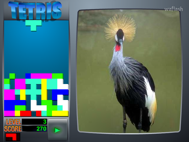테트리스 - Tetris 게임 화면 2