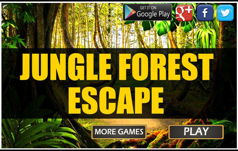 MIRCHI 정글숲 탈출 (Jungle Forest Escape) 게임 화면 1