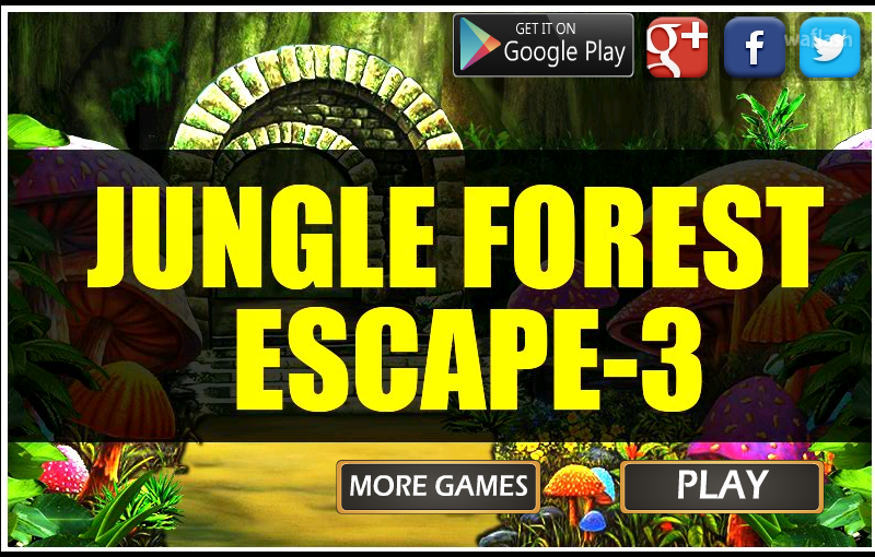 MIRCHI 정글숲 탈출 3 (Jungle Forest Escape 3) 게임 화면 1