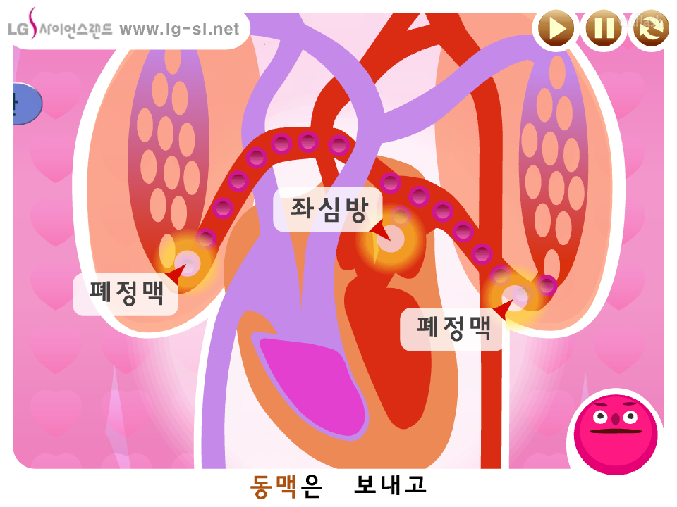 LG사이언스랜드 과학송 - 혈액순환쏭 게임 화면 2
