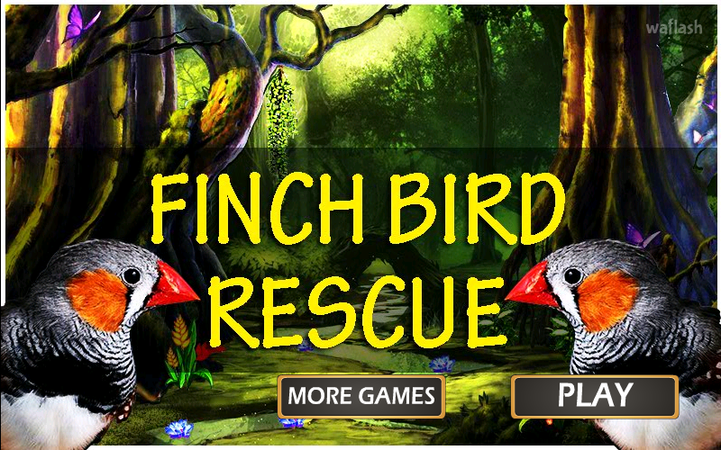 MIRCHI 핀치 버드 레스큐 (Finch Bird Rescue) 게임 화면 1